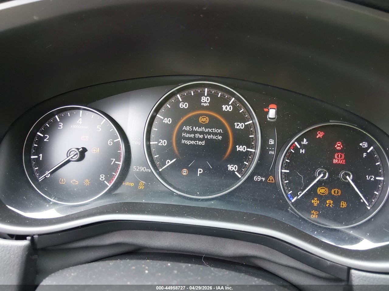 Image 7