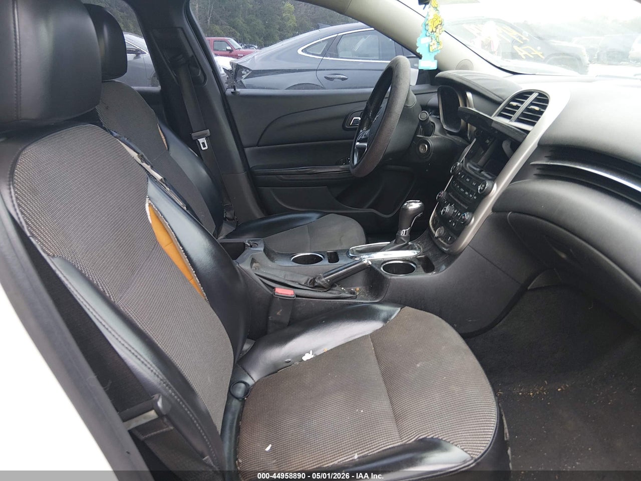Image 5