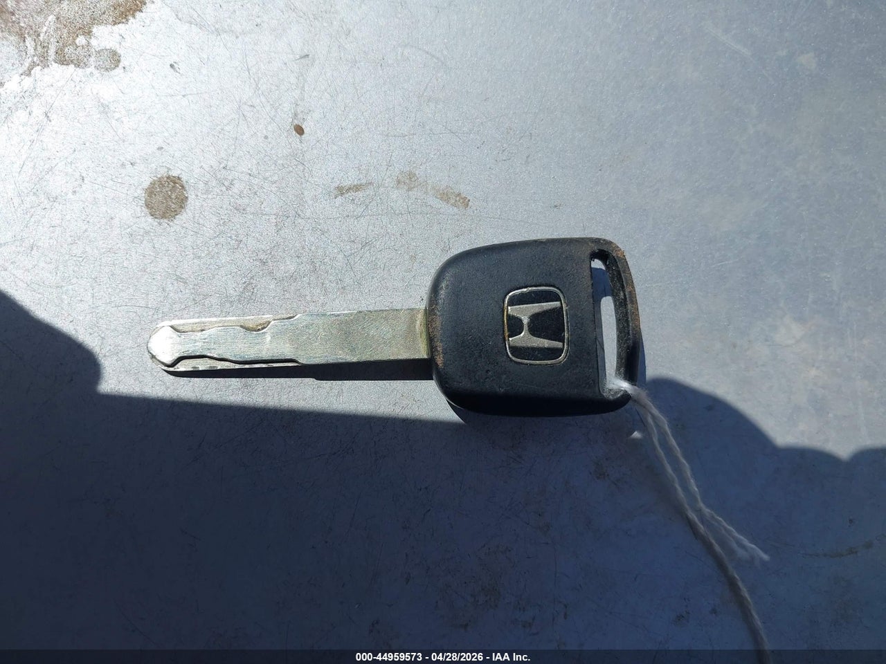 Image 11
