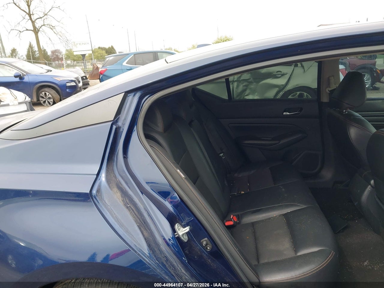 Image 8