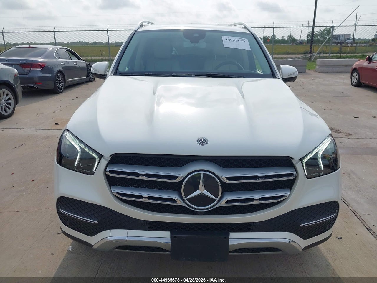 Image 12