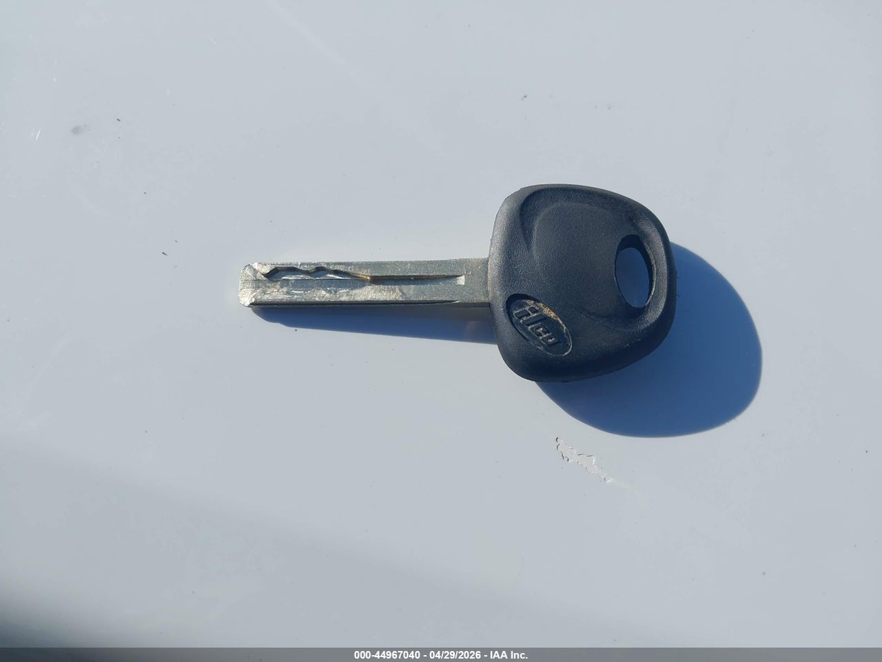 Image 11