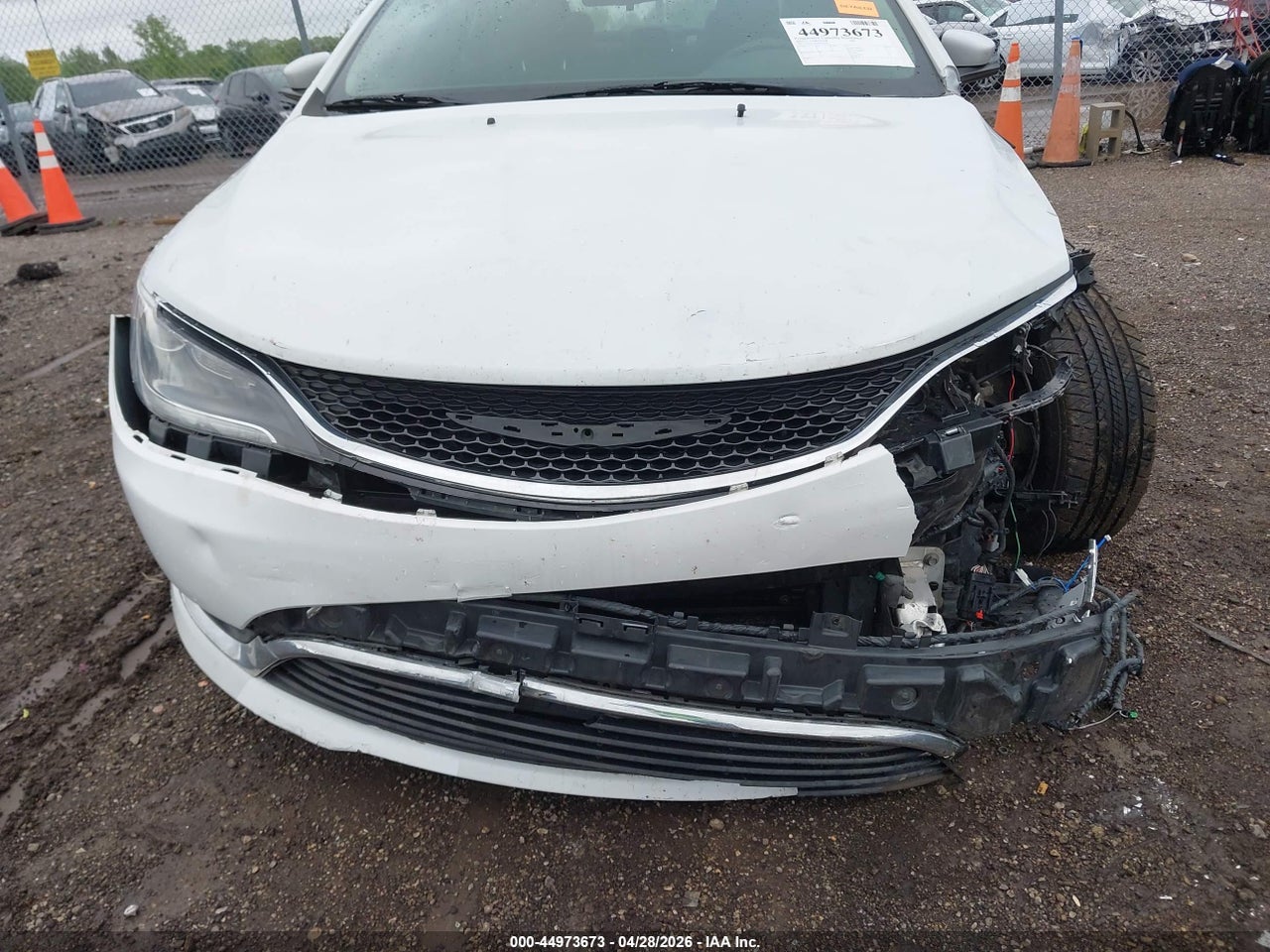 Image 6