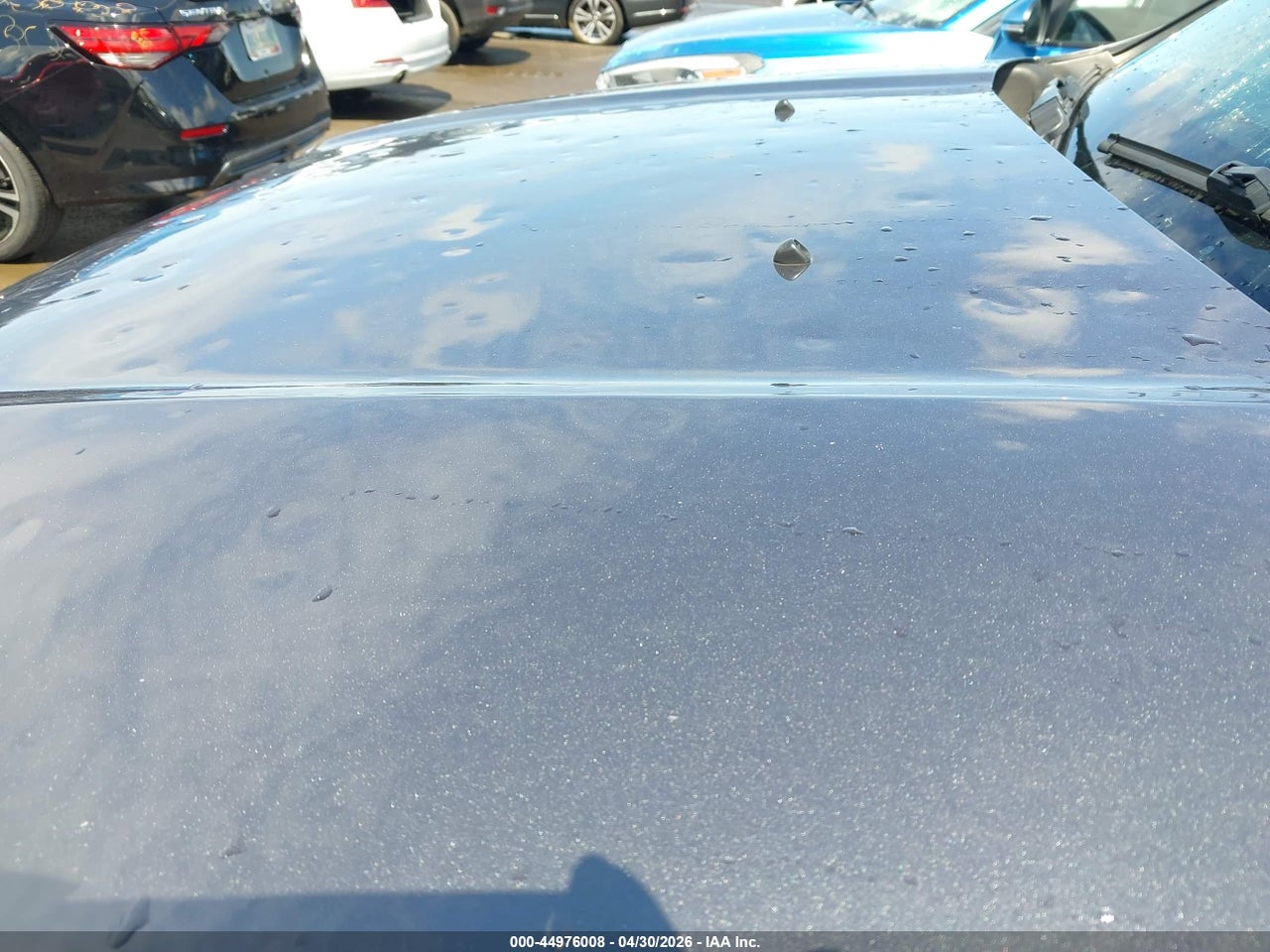 Image 6