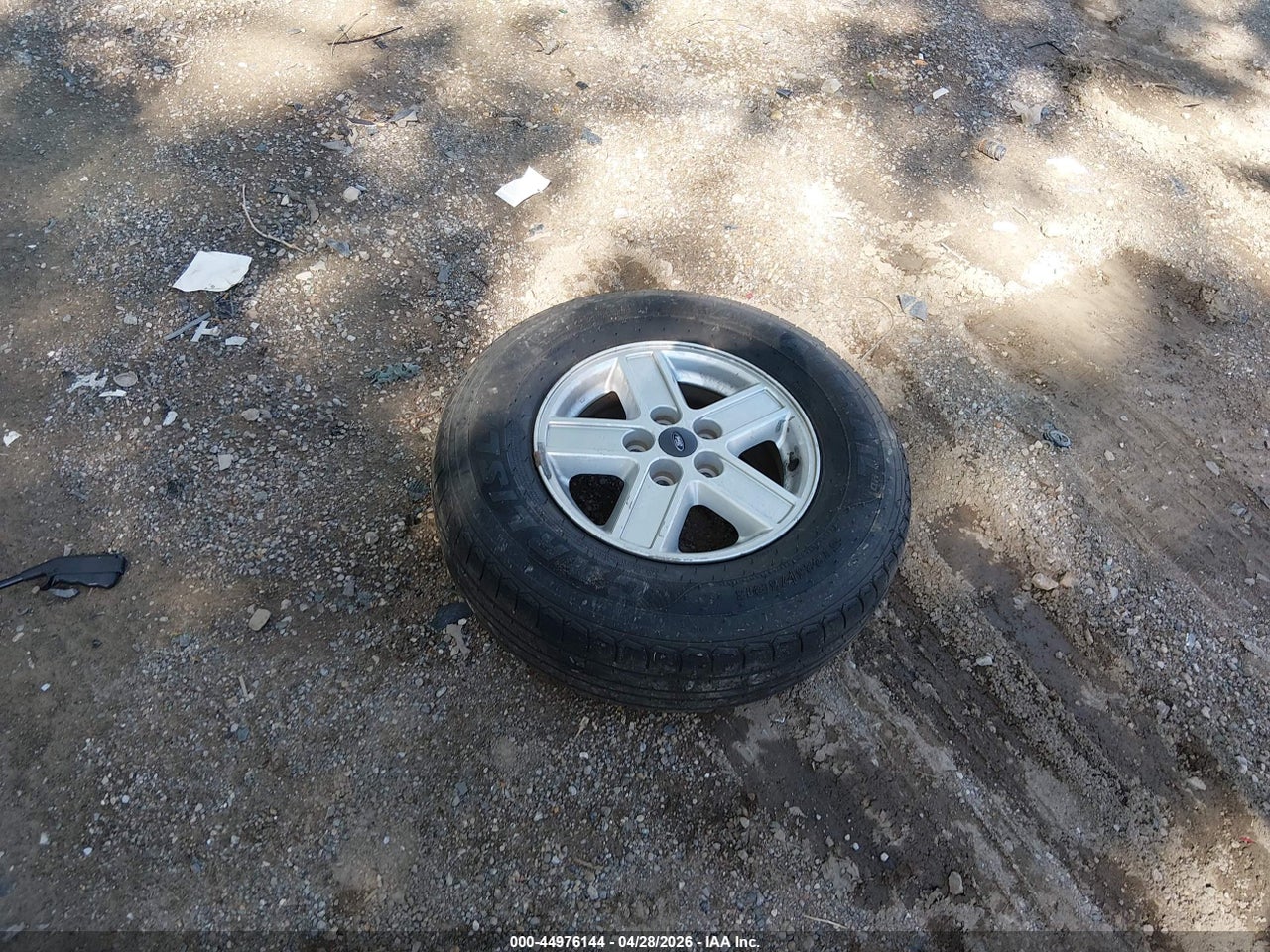 Image 12