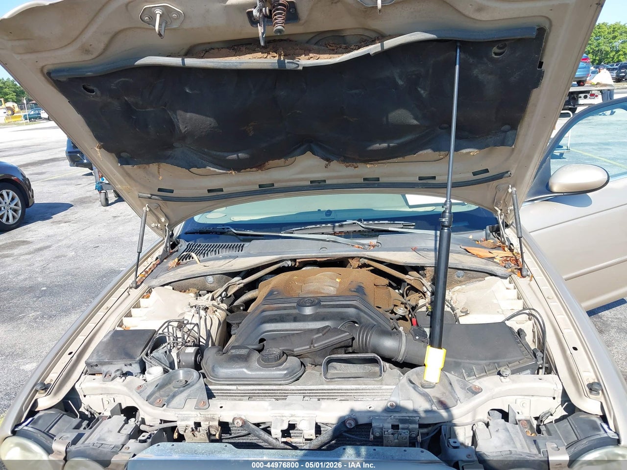 Image 10