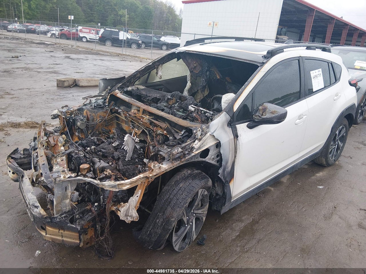 Image 2
