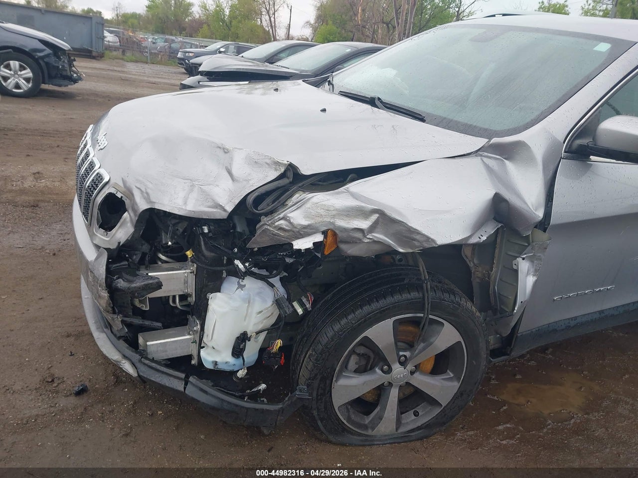 Image 6