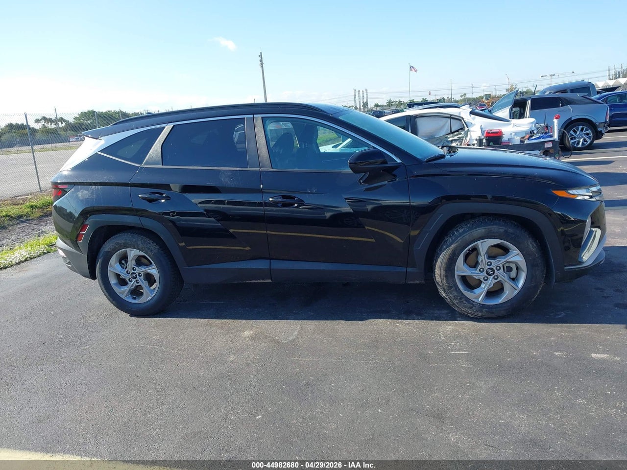 Image 13