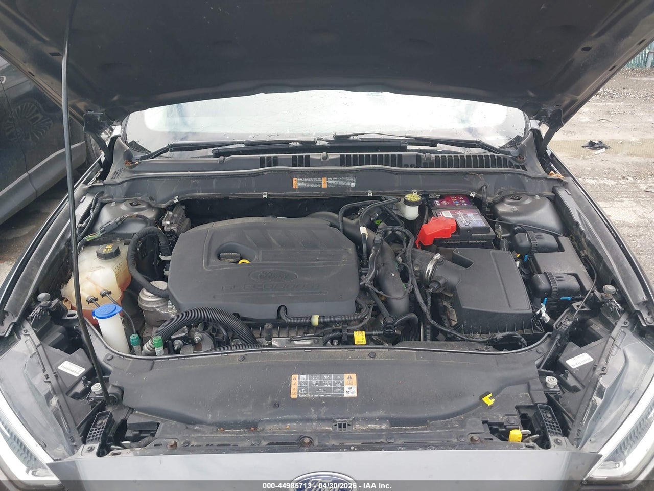 Image 10