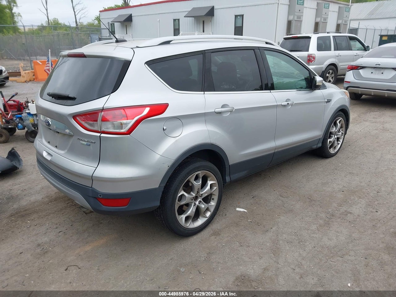 Image 4