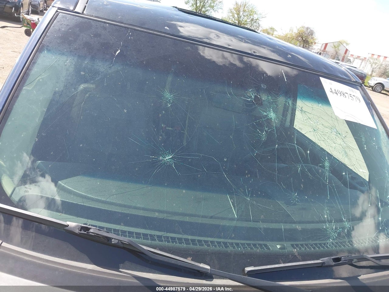 Image 19