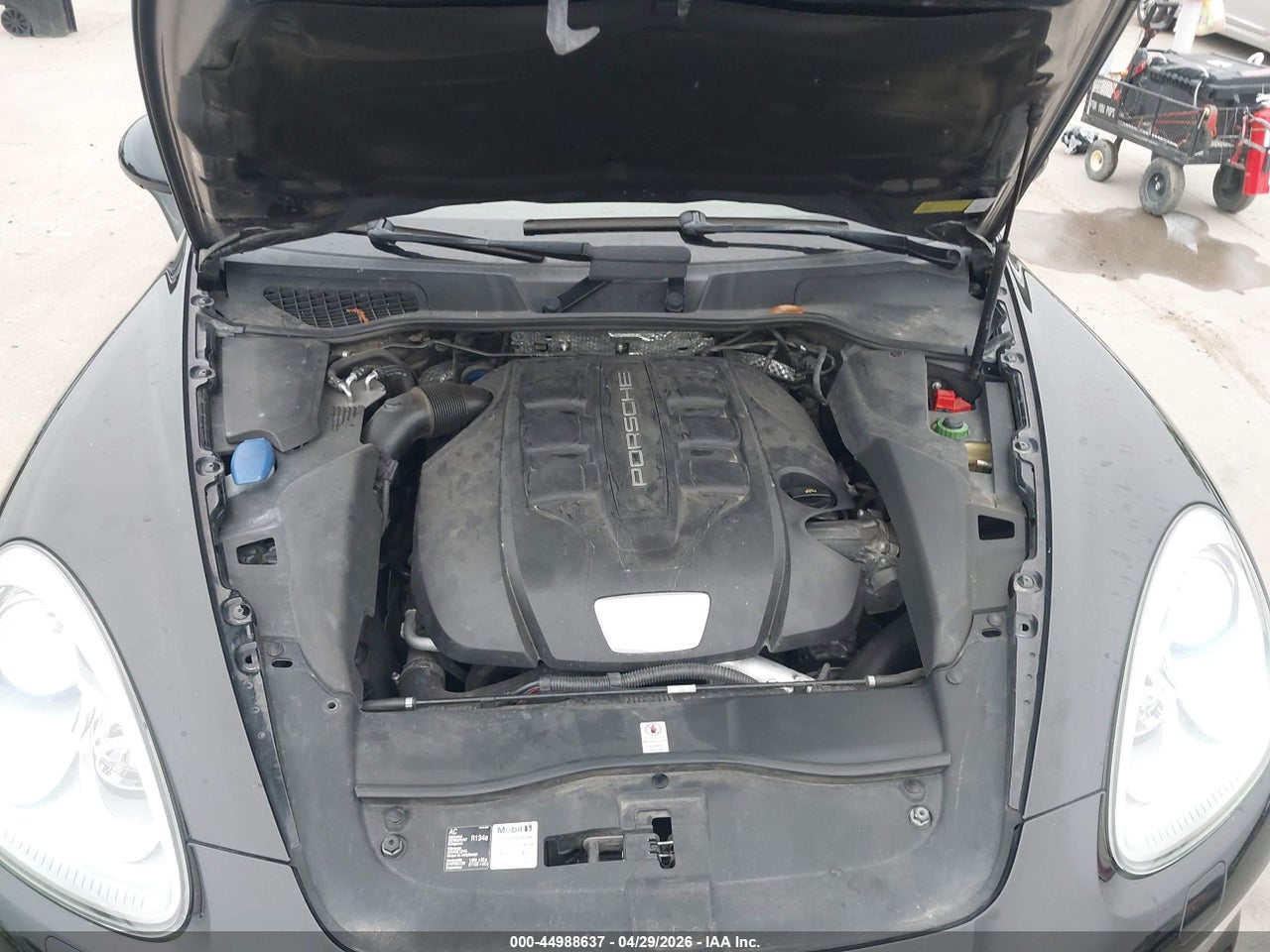 Image 10