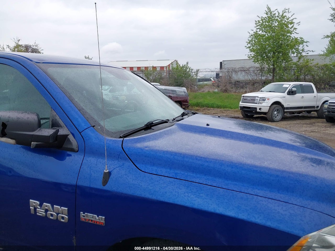 Image 6