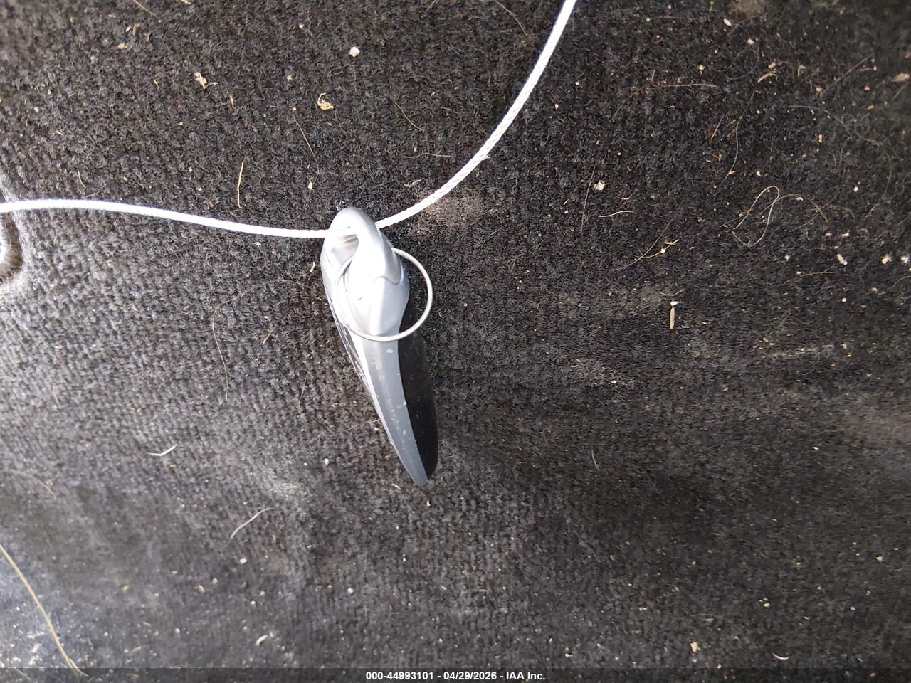 Image 11