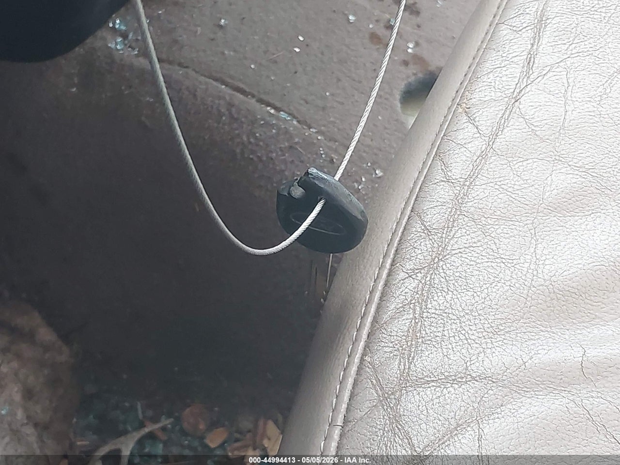 Image 11