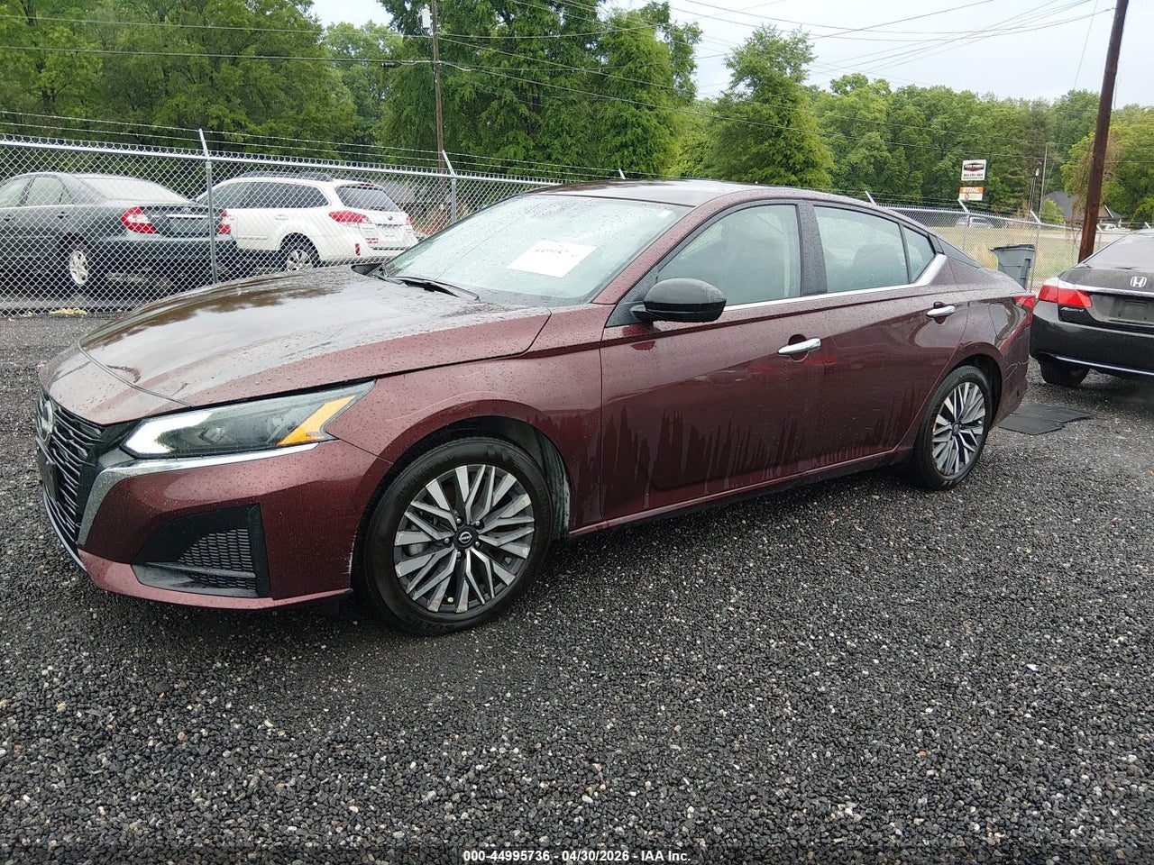 Image 2
