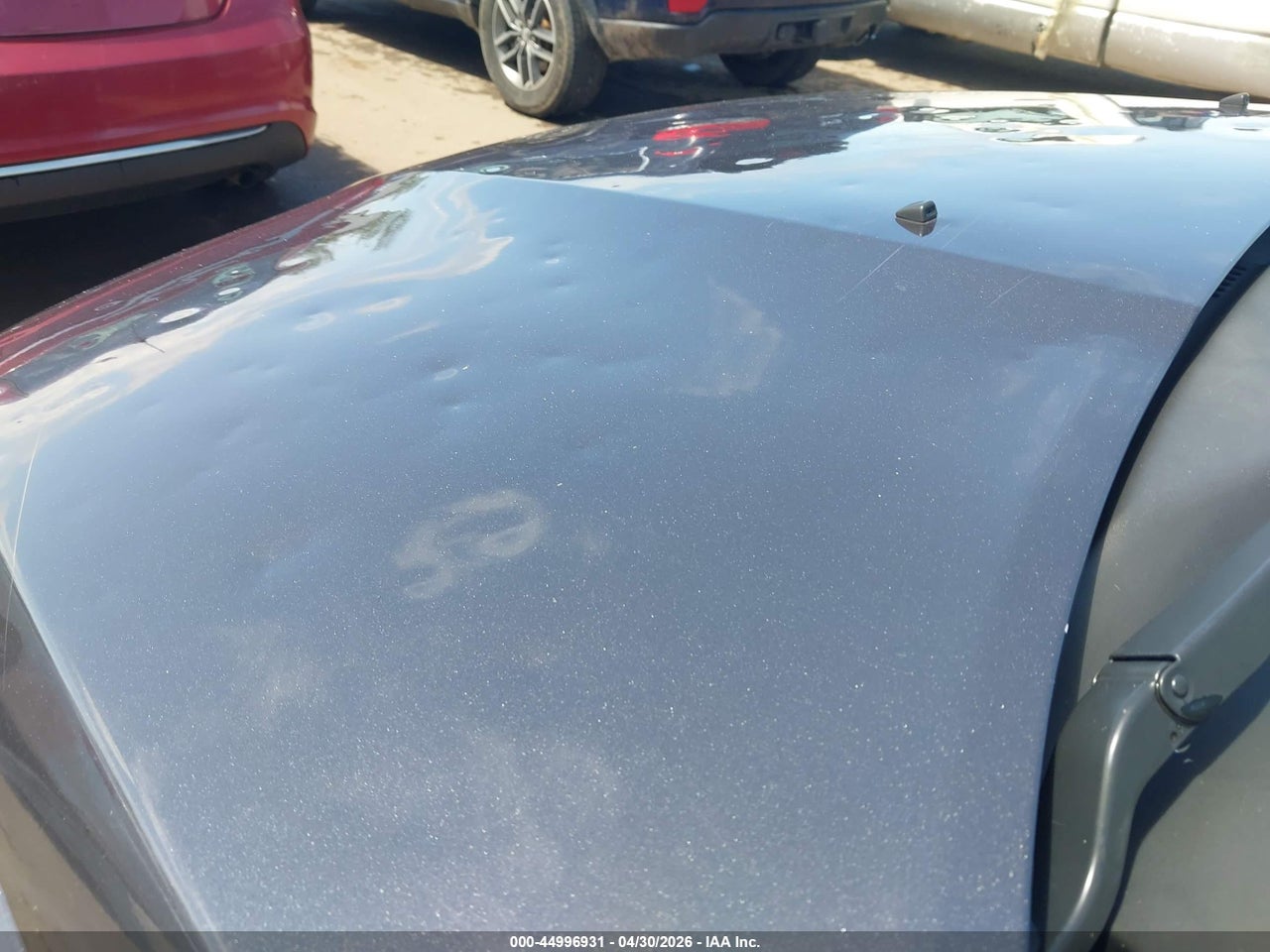 Image 6