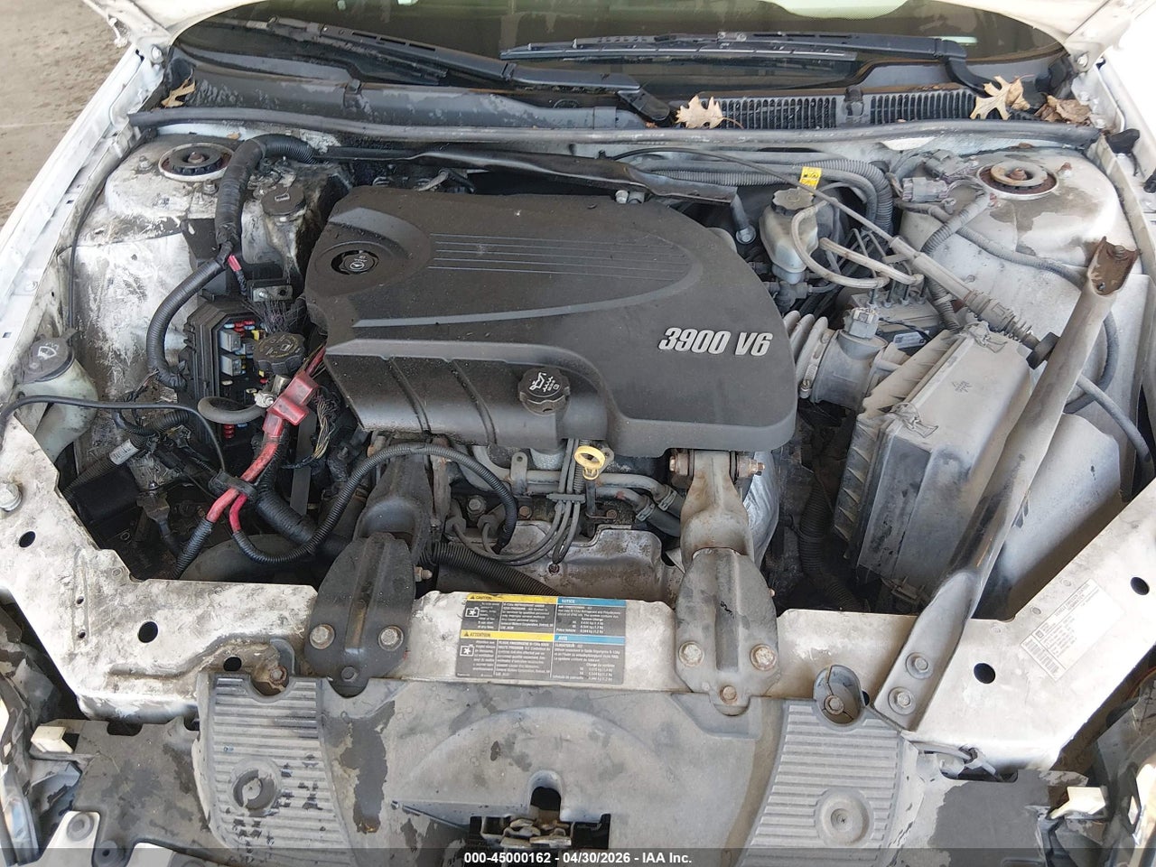 Image 10