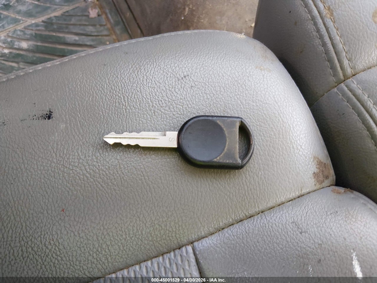 Image 11