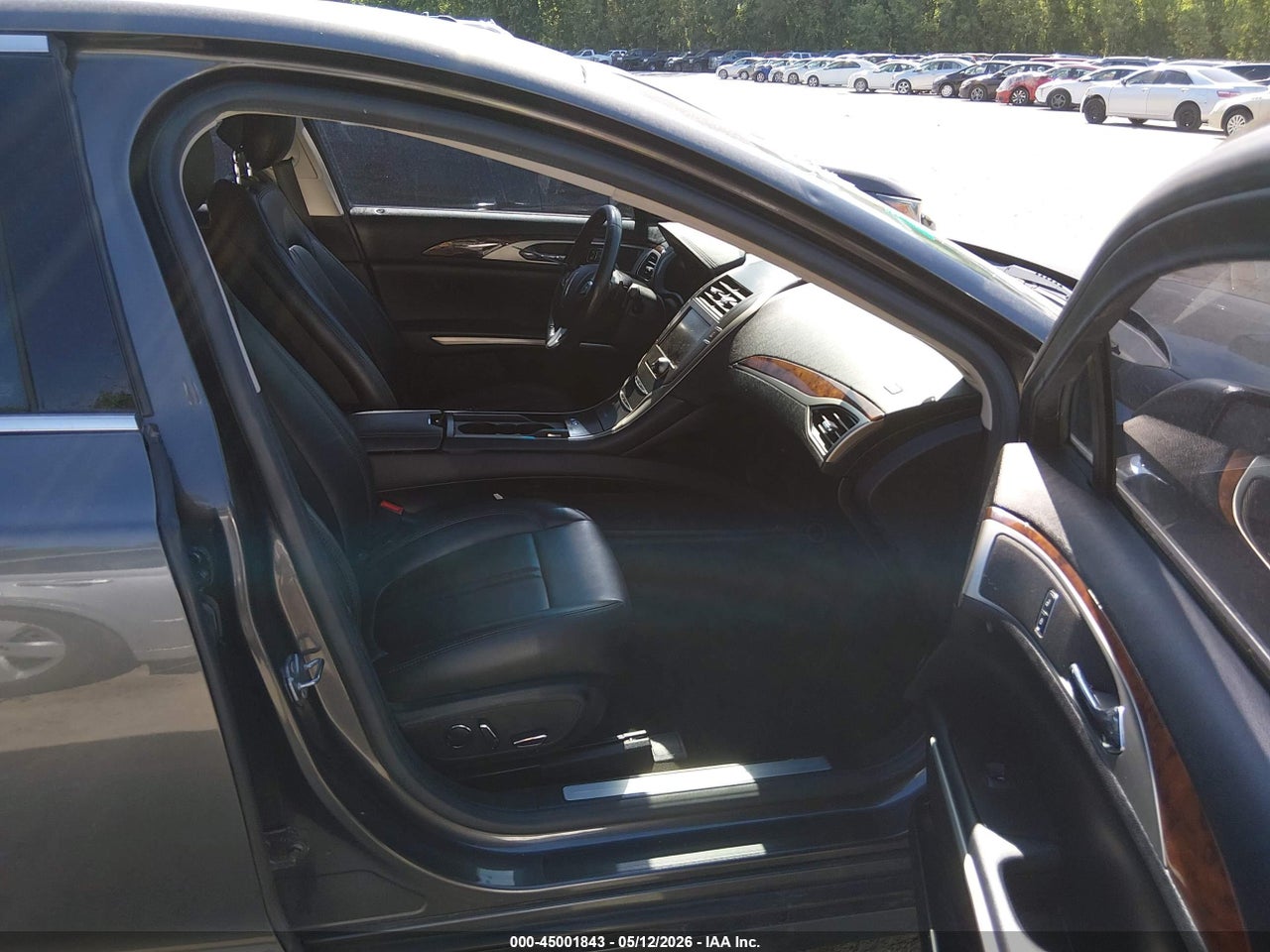 Image 5