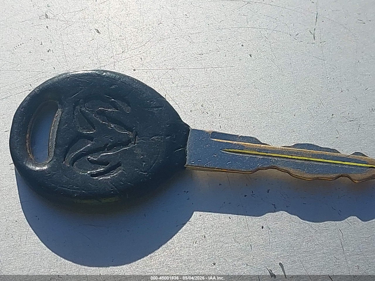 Image 11