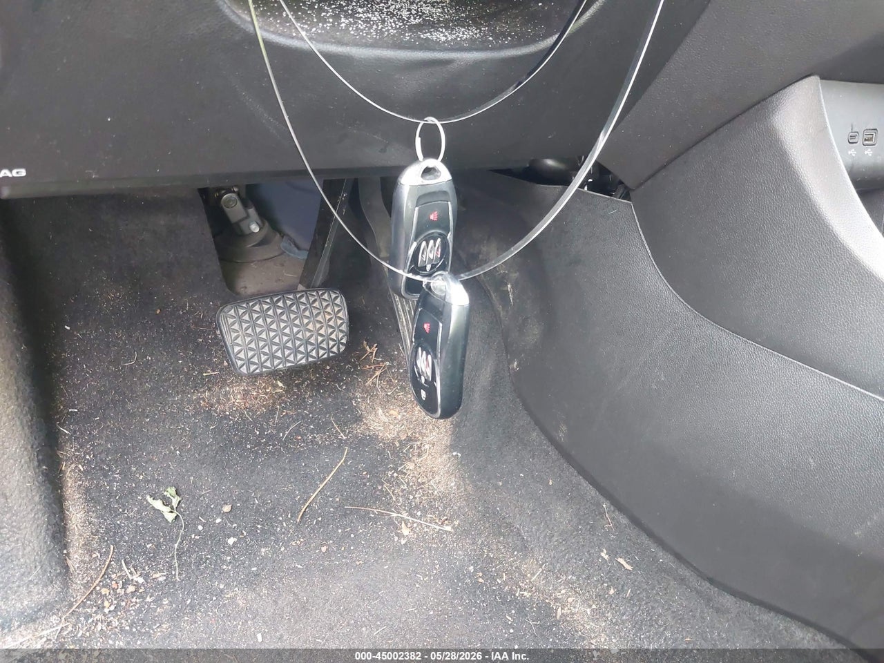 Image 11