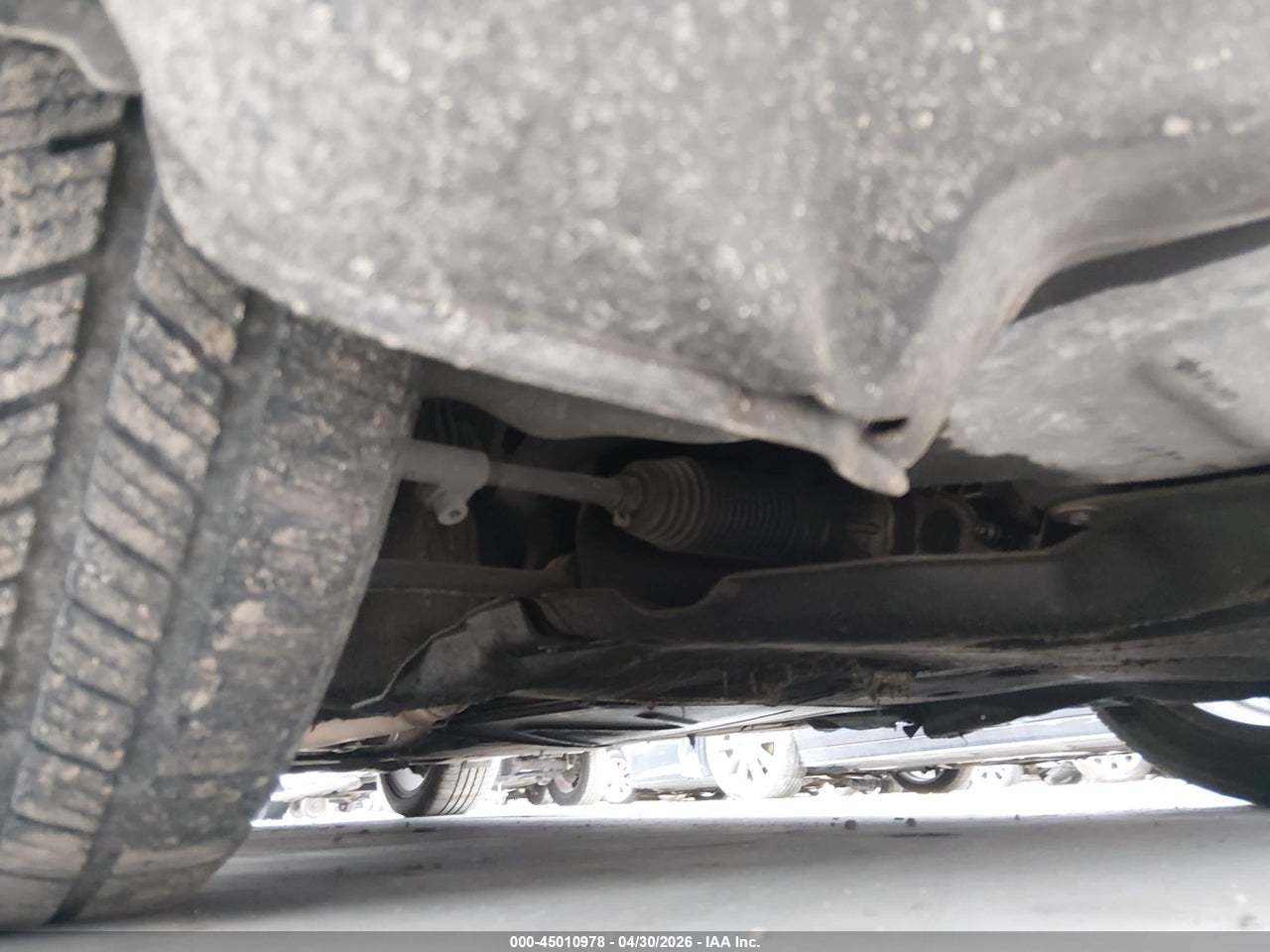 Image 13