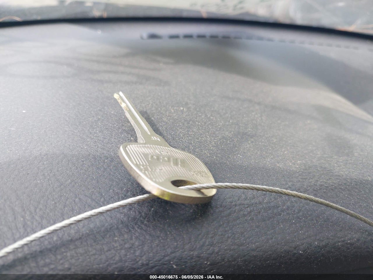 Image 11