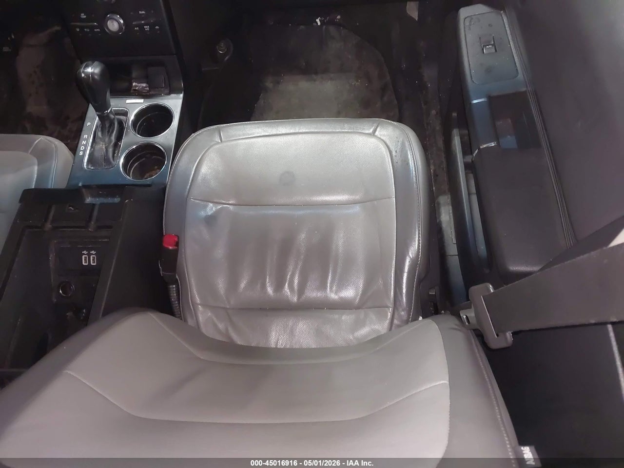 Image 5