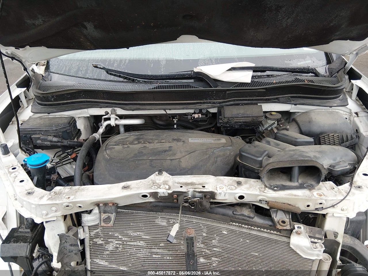 Image 10