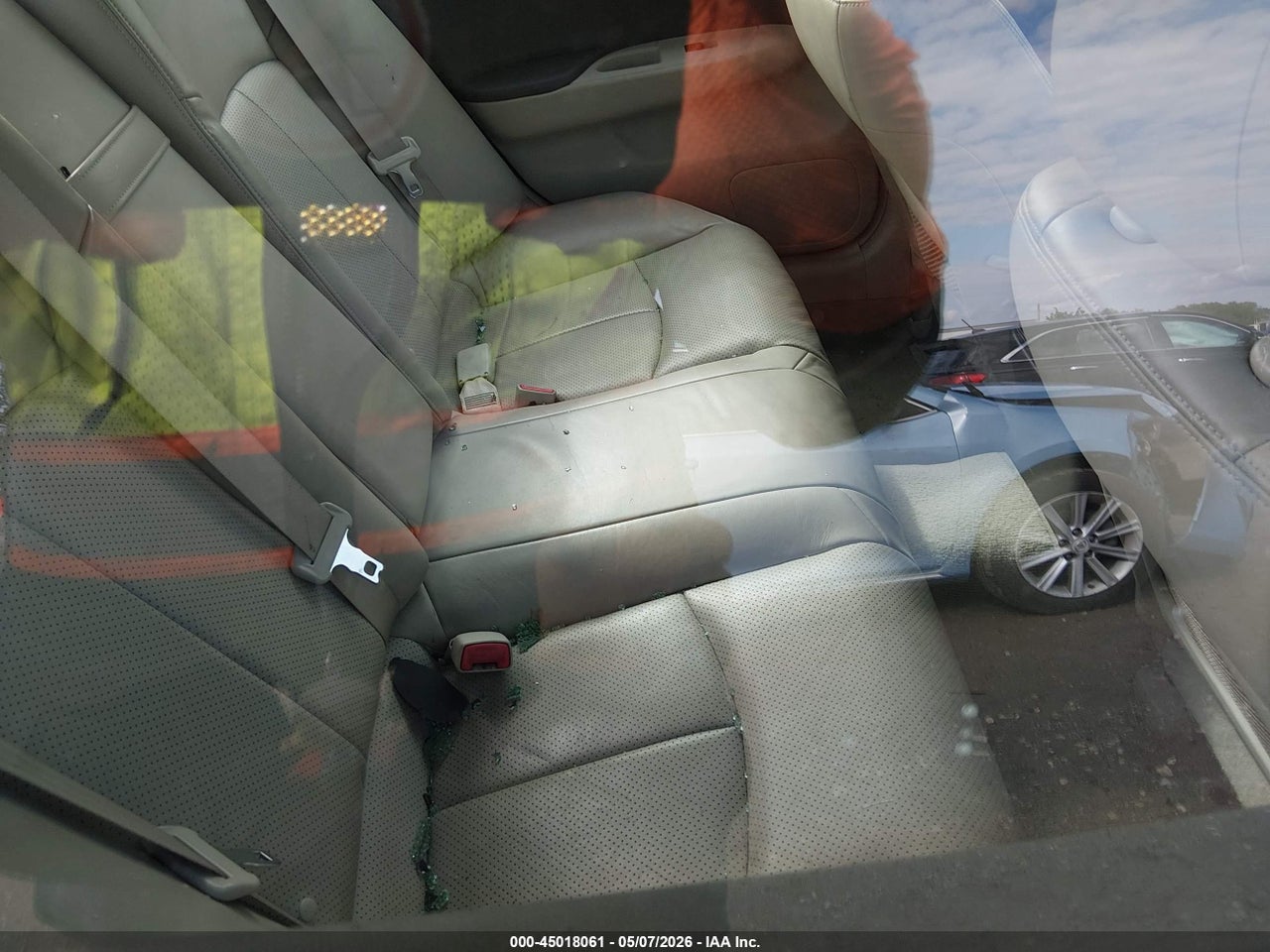 Image 8