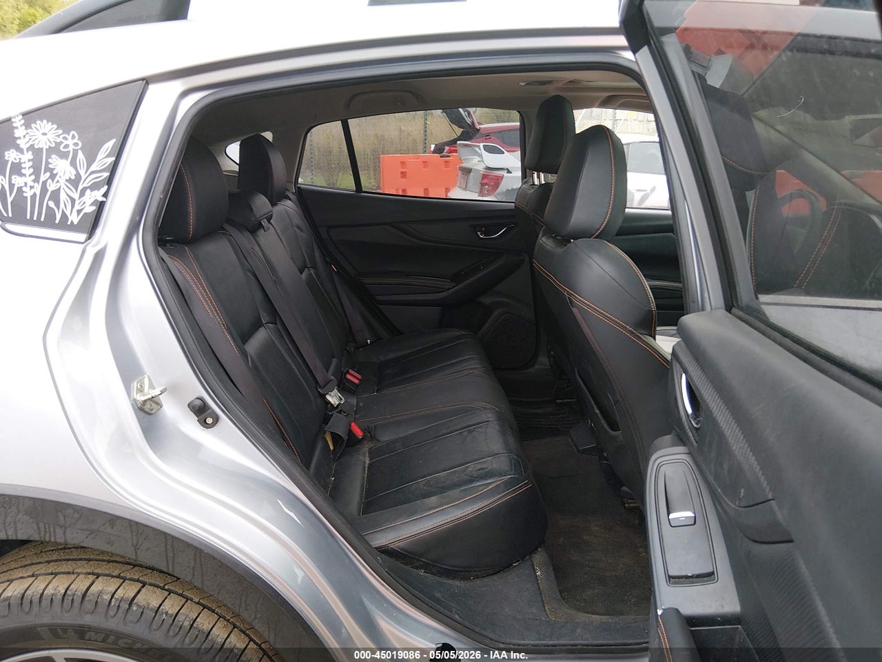 Image 8