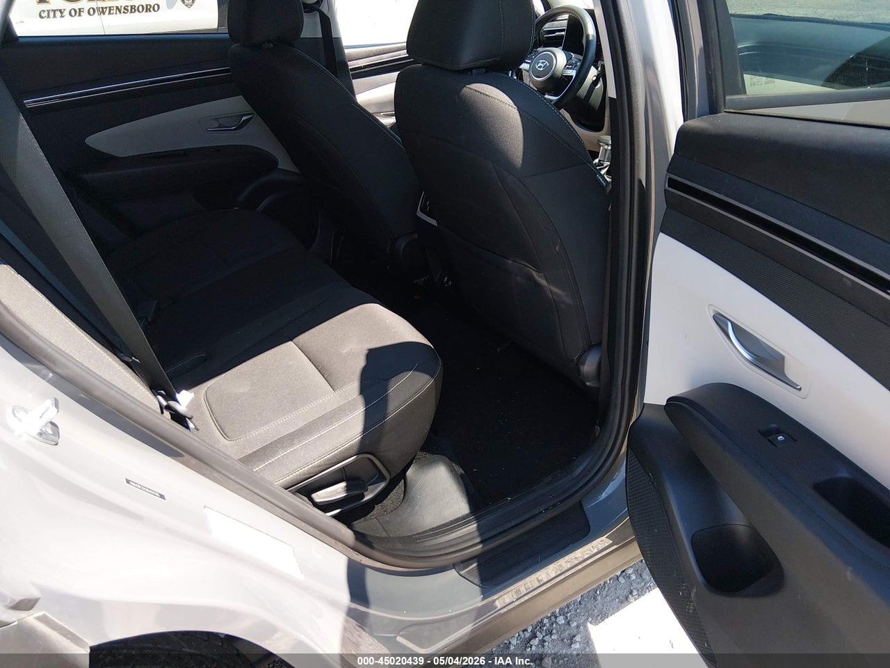Image 8