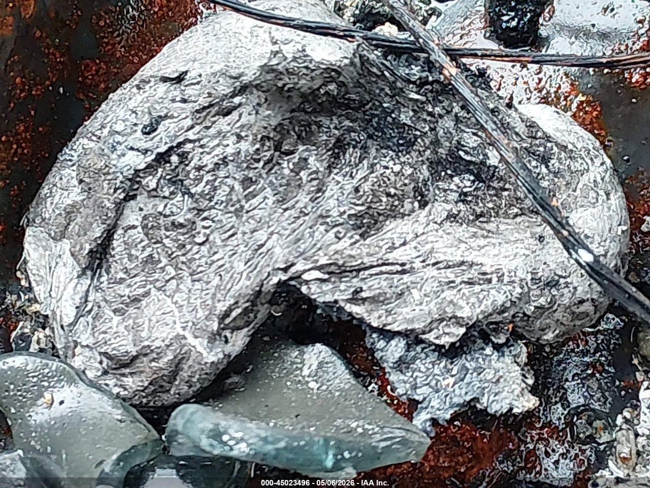 Image 11