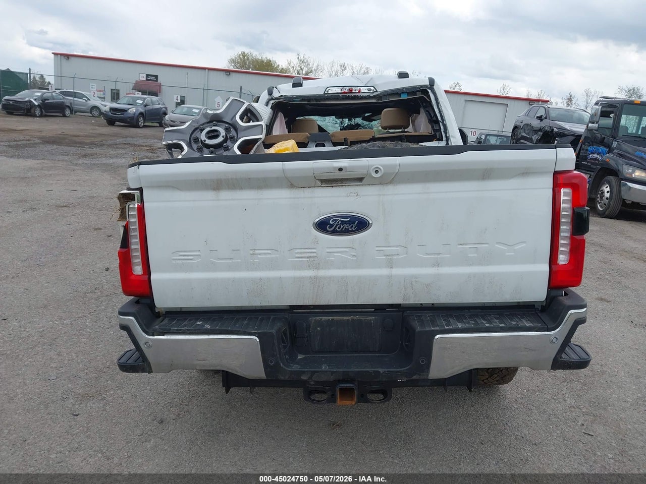 Image 8