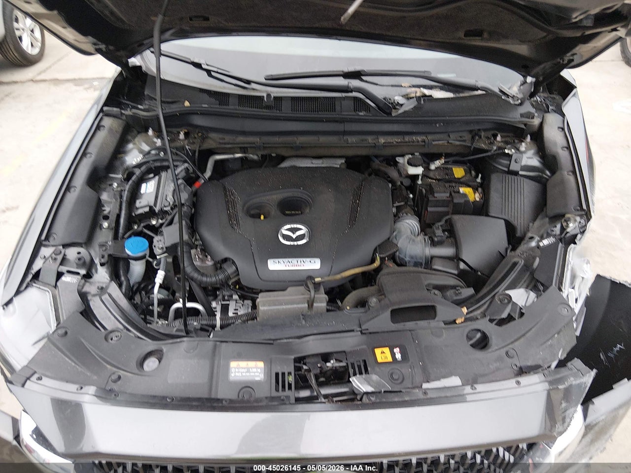 Image 10