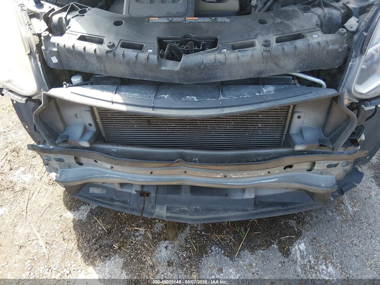 Image 6