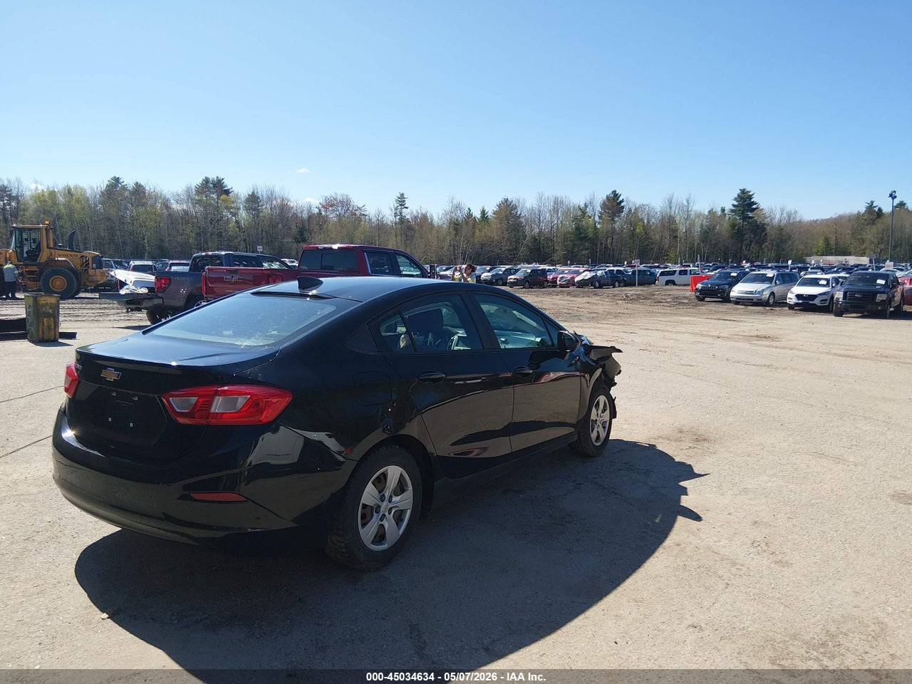Image 4