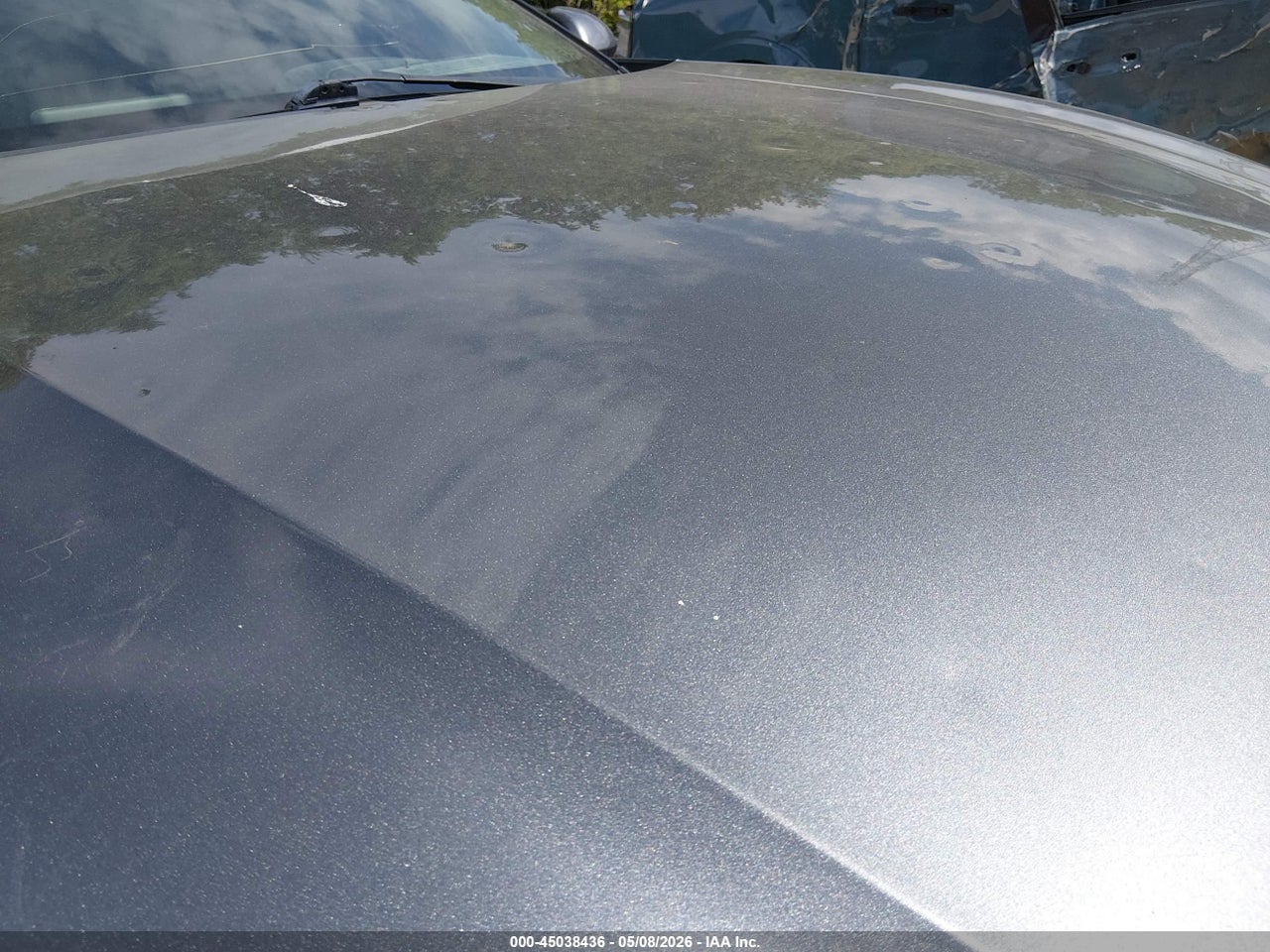 Image 6