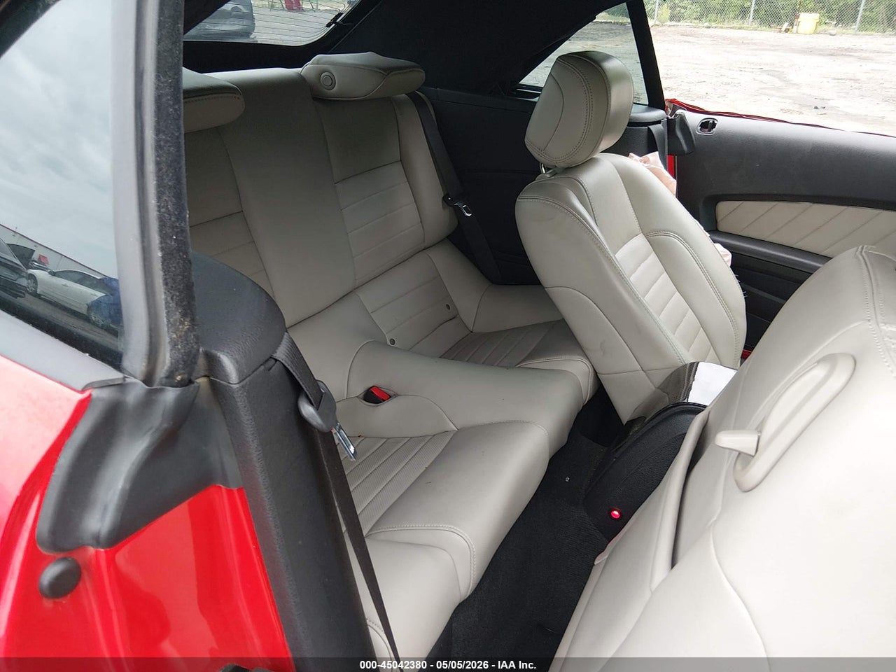 Image 8
