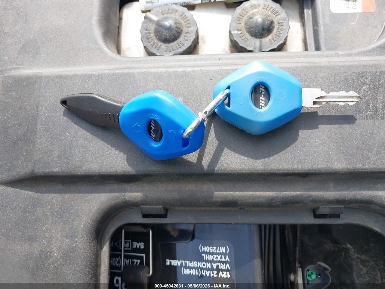 Image 11