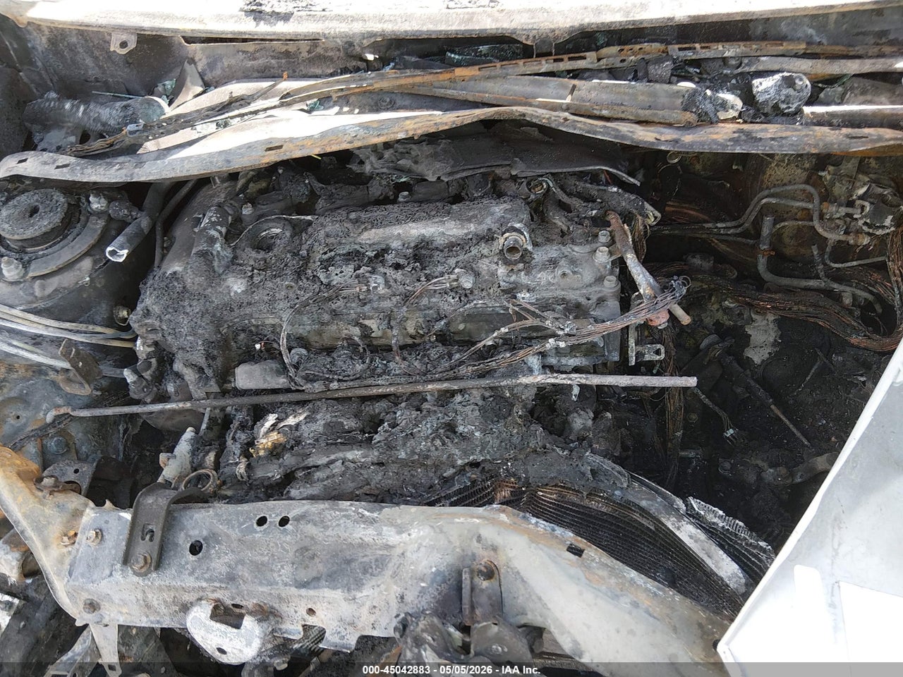 Image 10
