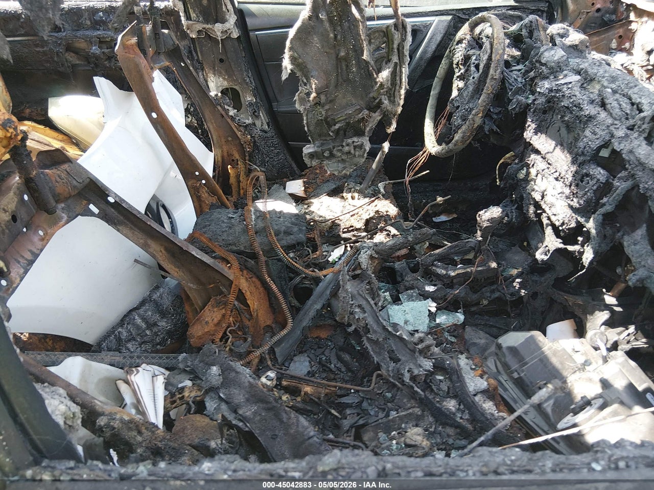 Image 5