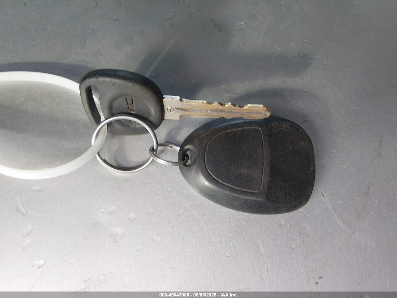 Image 11