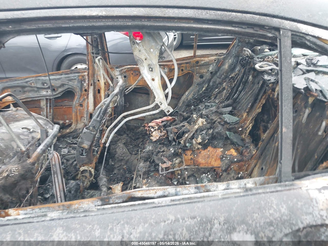 Image 15