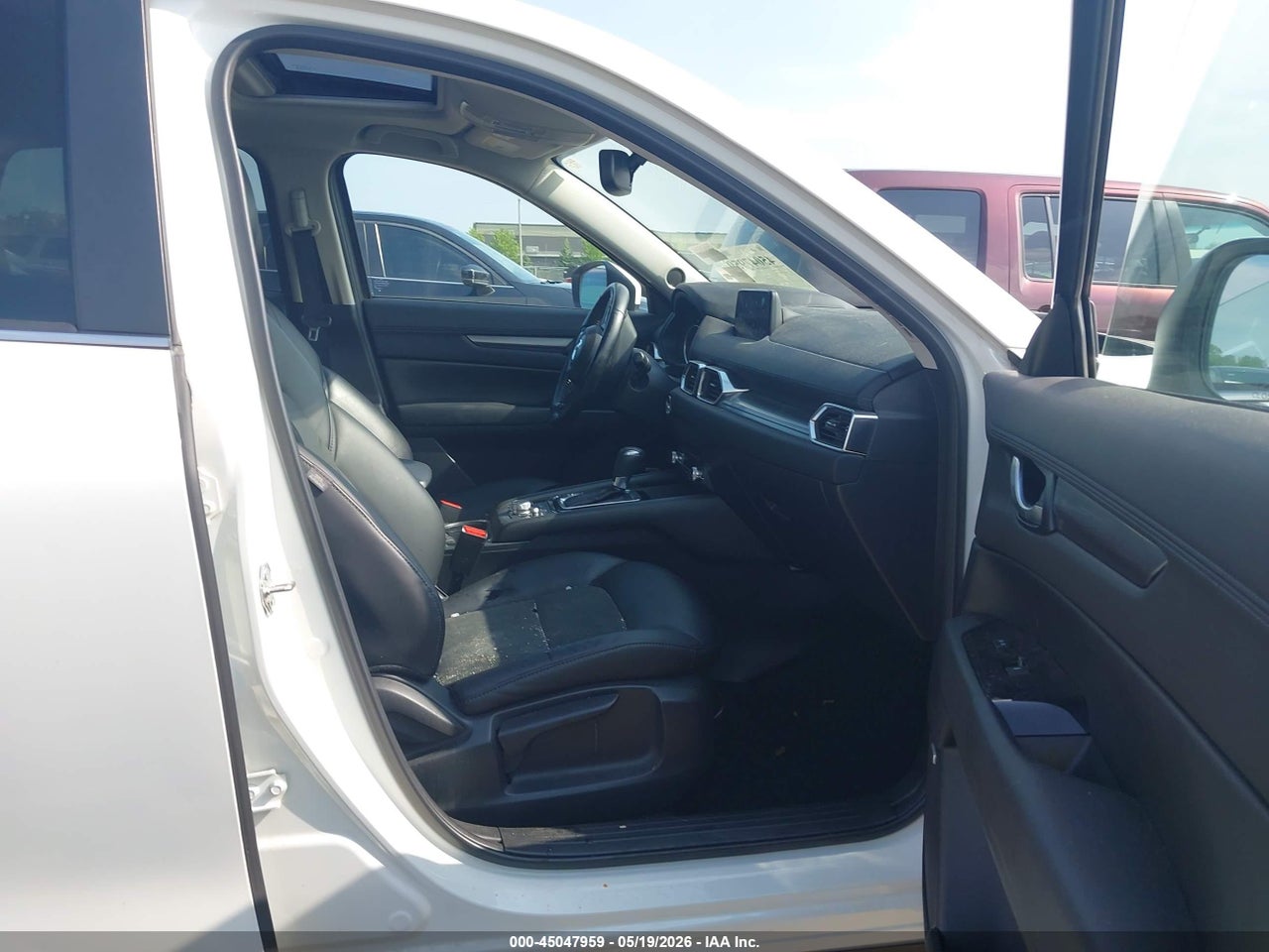 Image 5