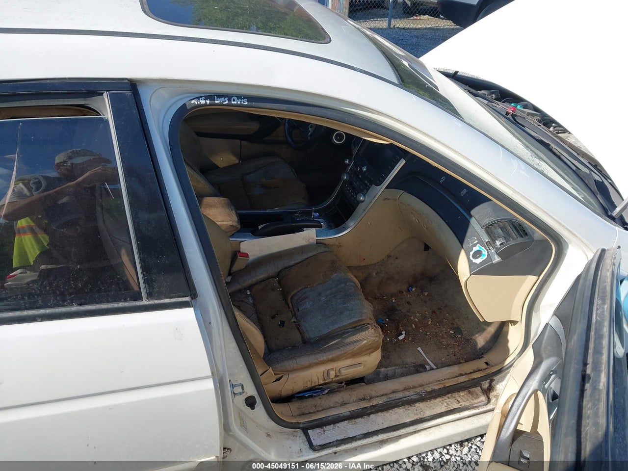Image 5