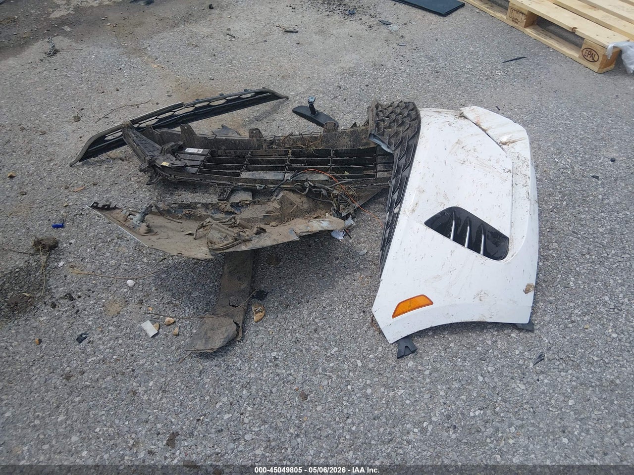 Image 12