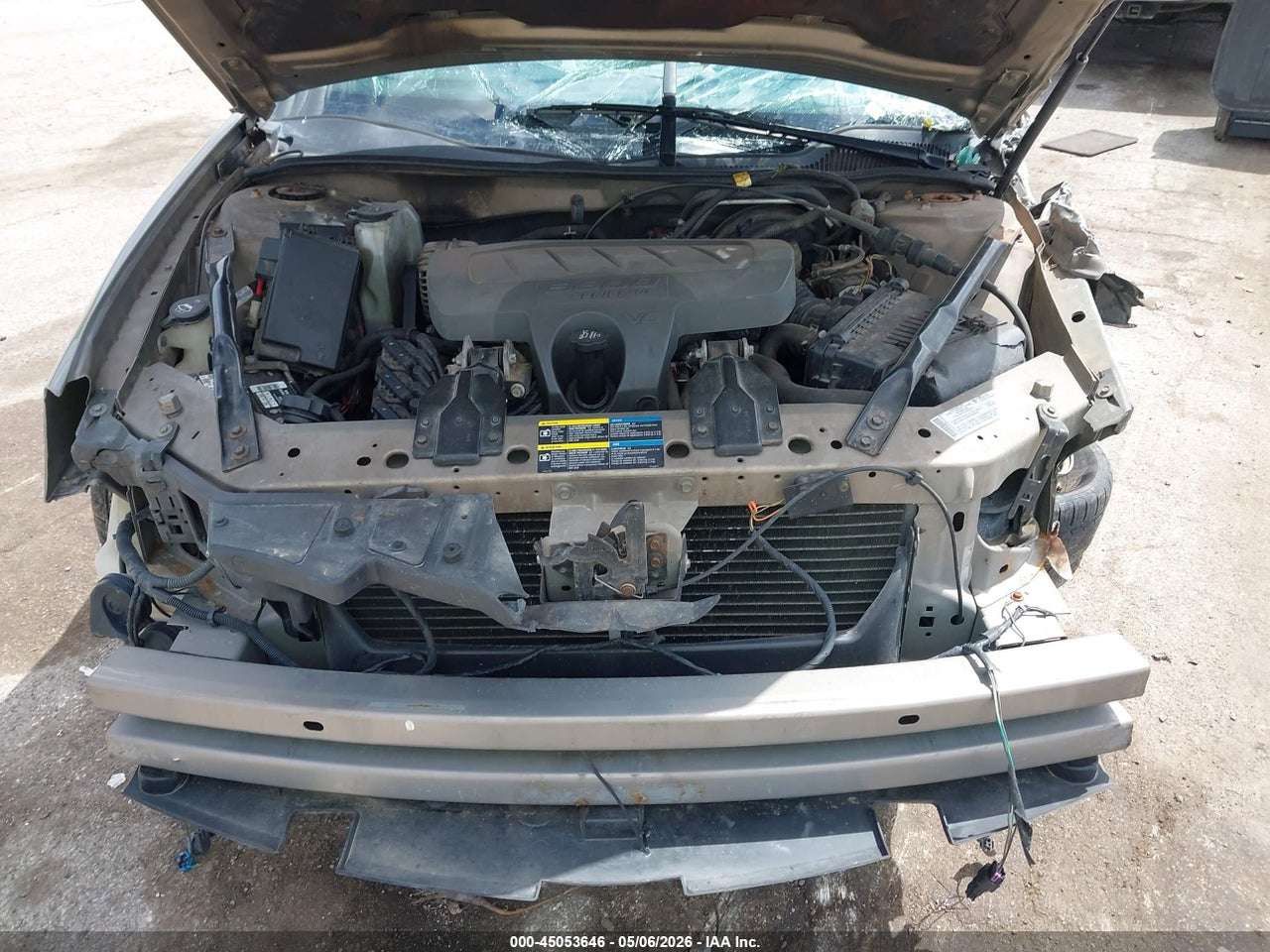 Image 10